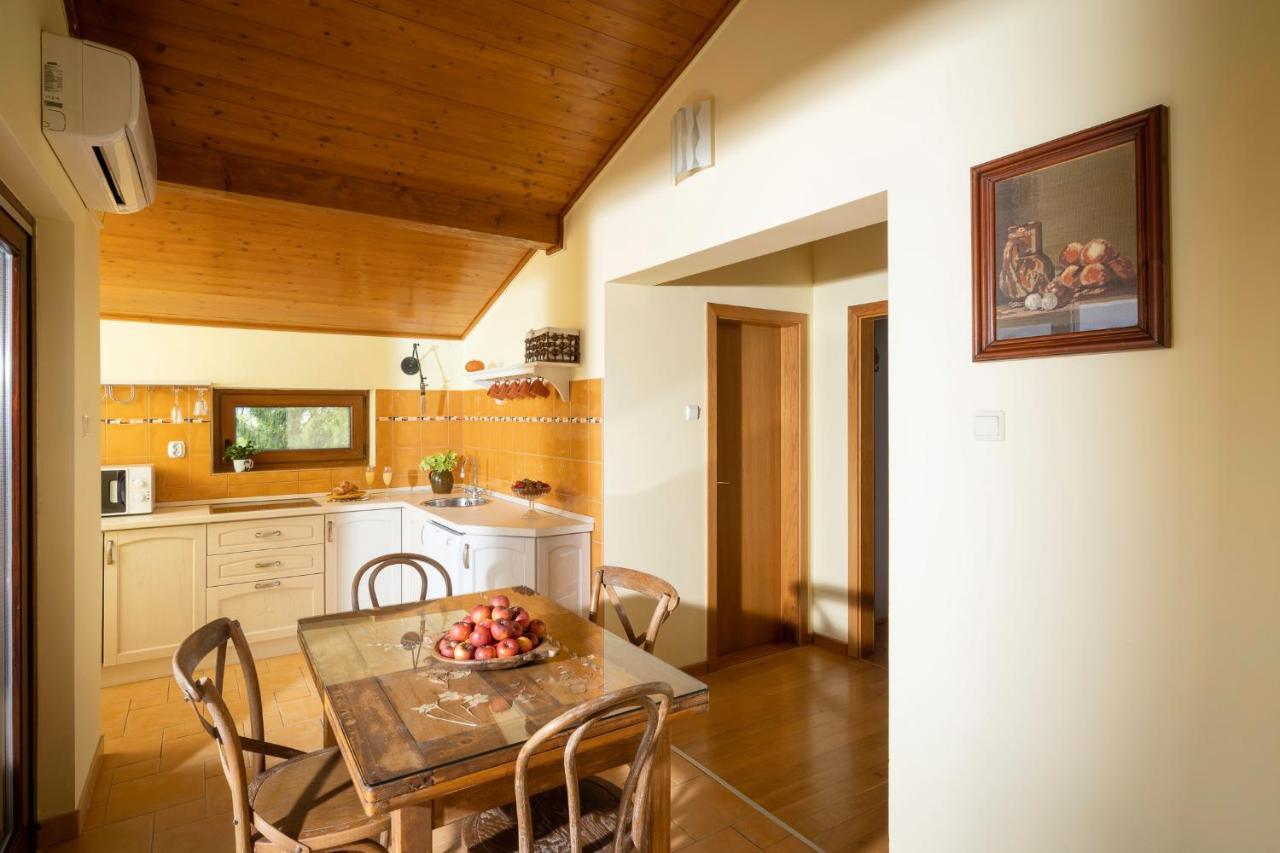 Apartment Villa Ema Krapinske Toplice Dış mekan fotoğraf