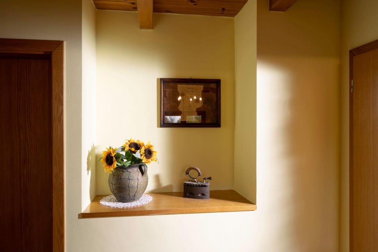 Apartment Villa Ema Krapinske Toplice Dış mekan fotoğraf